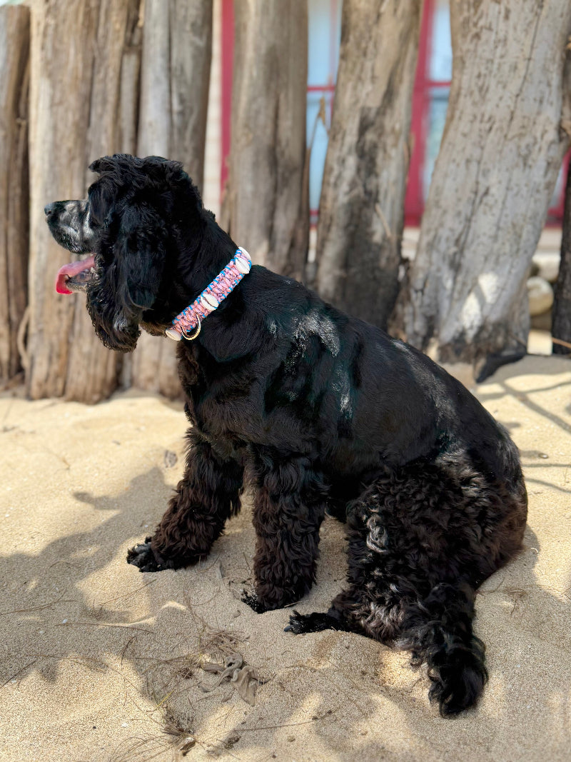 Coastal QT Dog Collar in Mochi