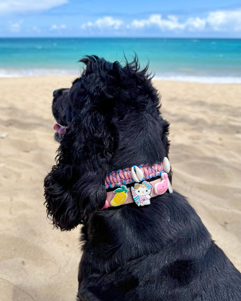 Kawaii Jibbitz Dog Collar in Guri-Guri