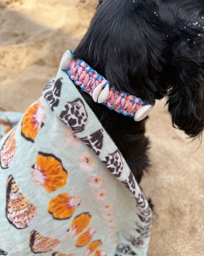 Coastal QT Dog Collar in Mochi