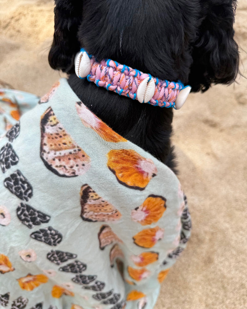 Coastal QT Dog Collar in Mochi