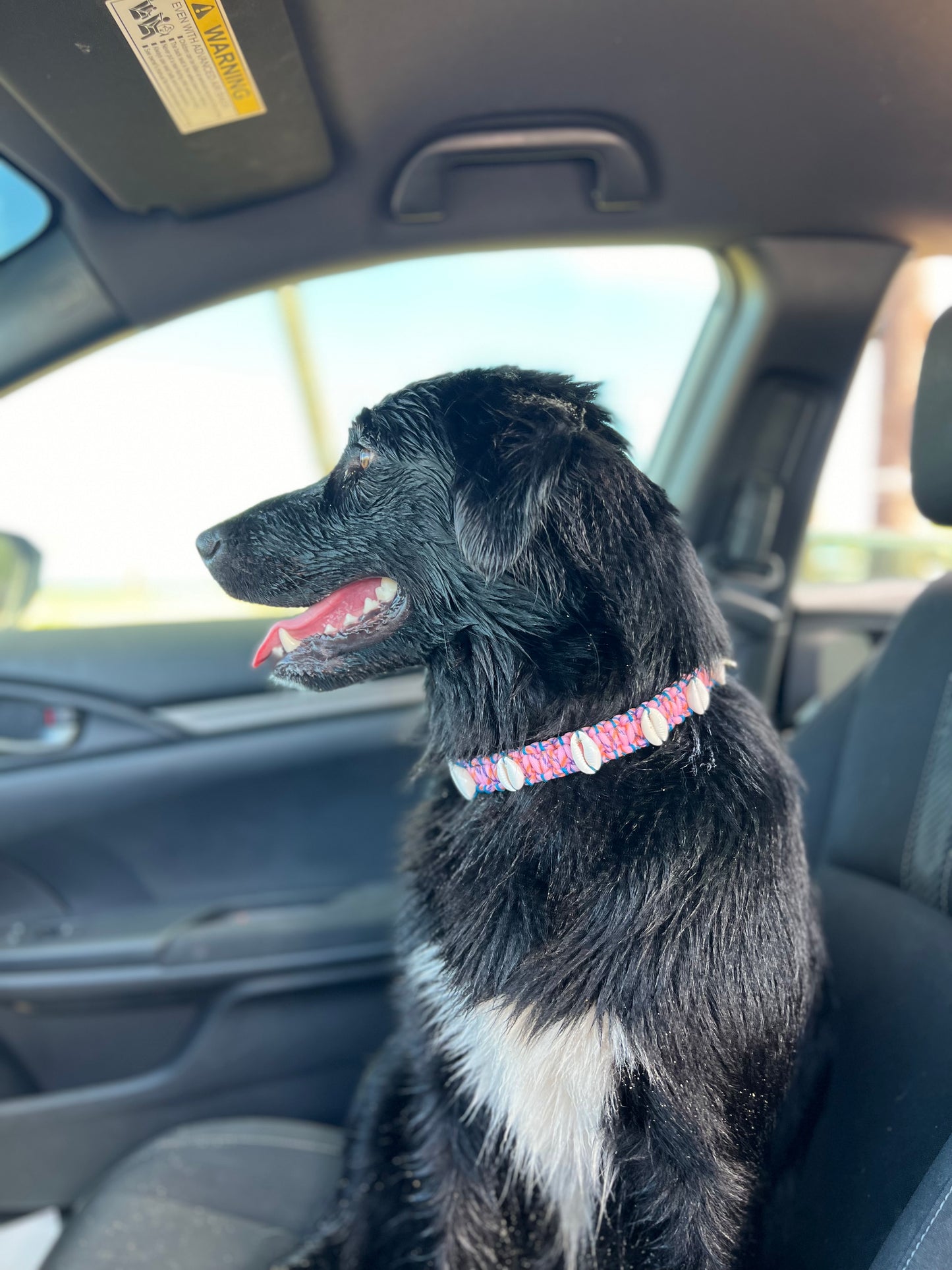 Coastal QT Dog Collar in Mochi