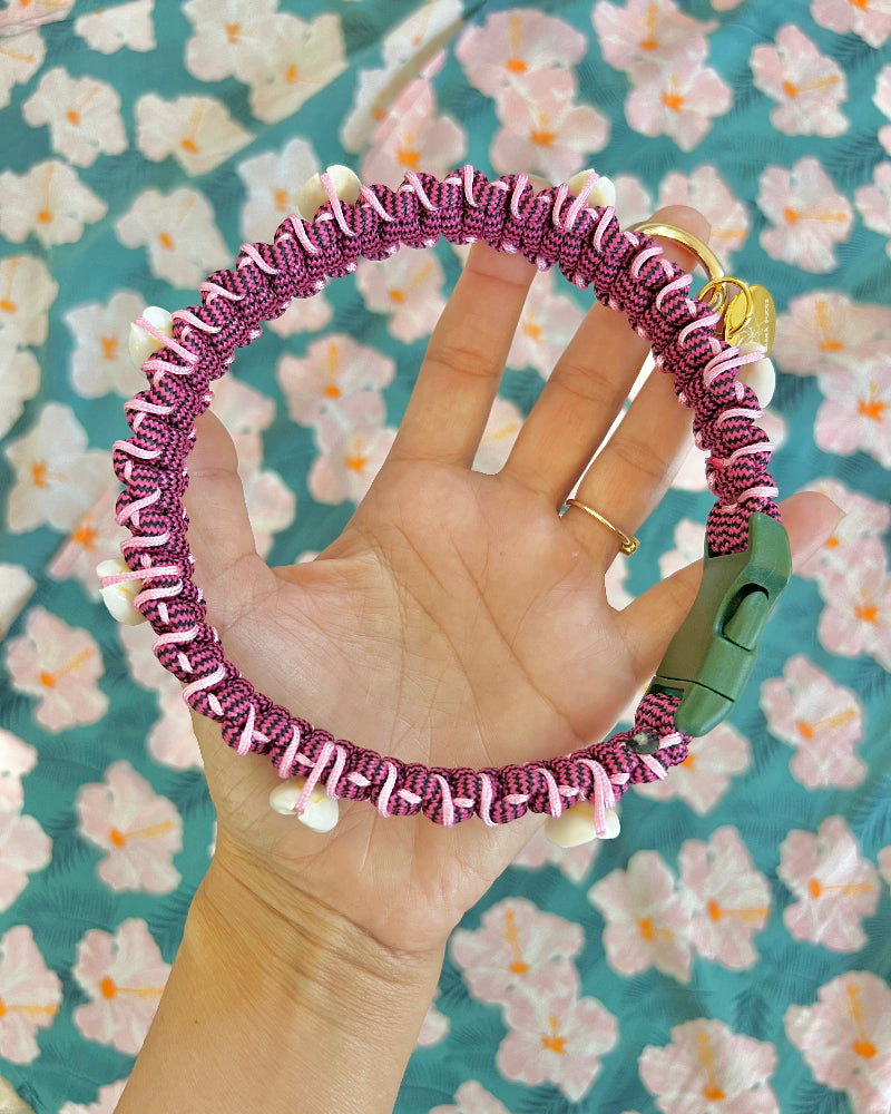 Coastal QT Dog Collar in Purple Cowrie Shell