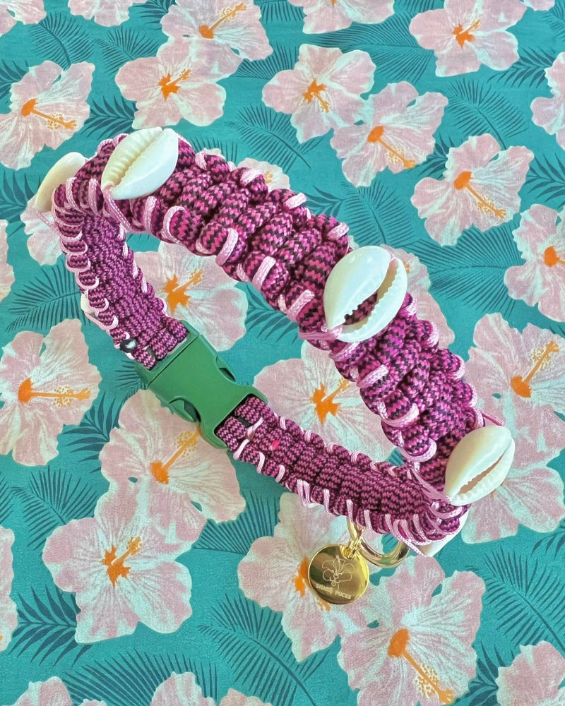 Coastal QT Dog Collar in Purple Cowrie Shell
