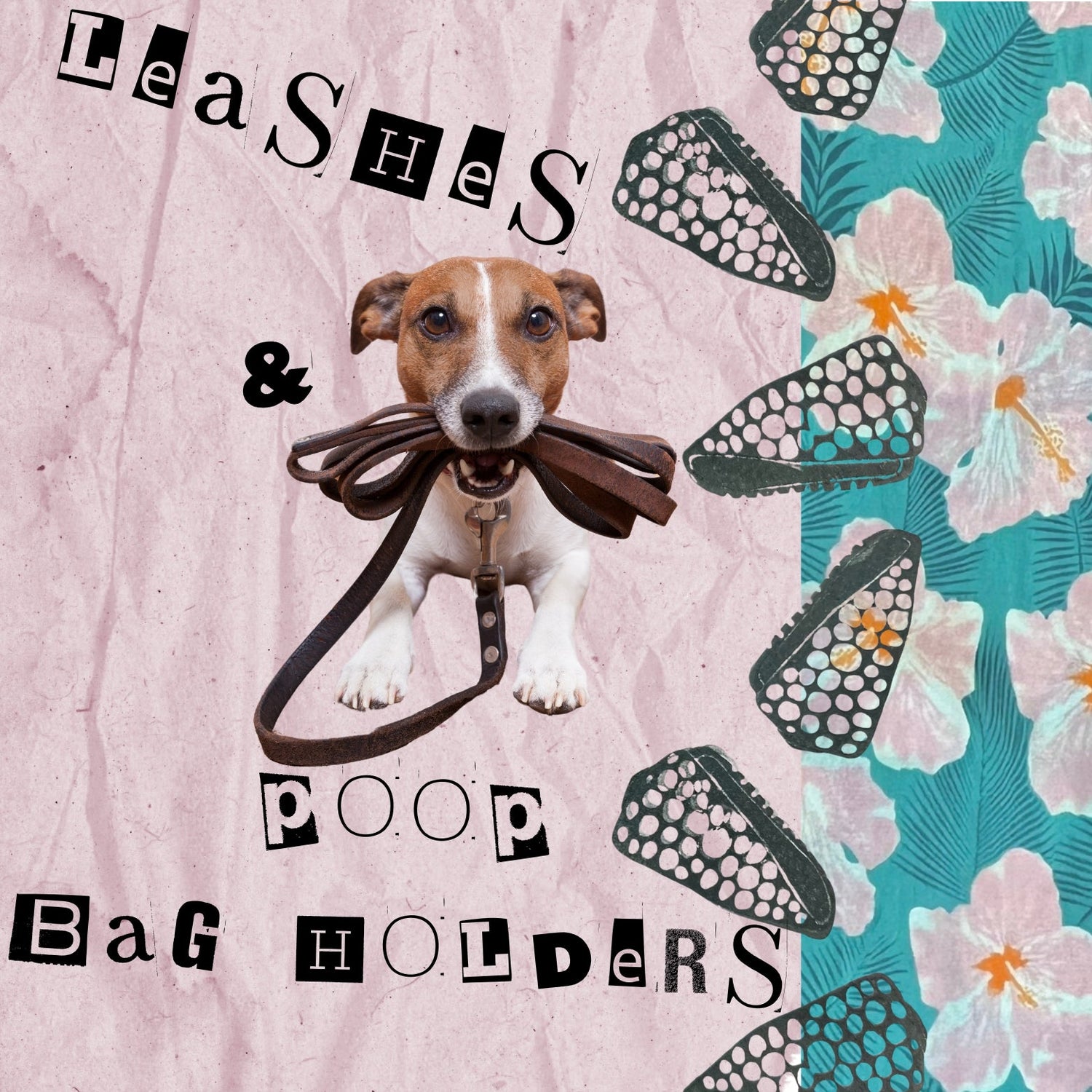 LEASHES & POOP BAG HOLDERS