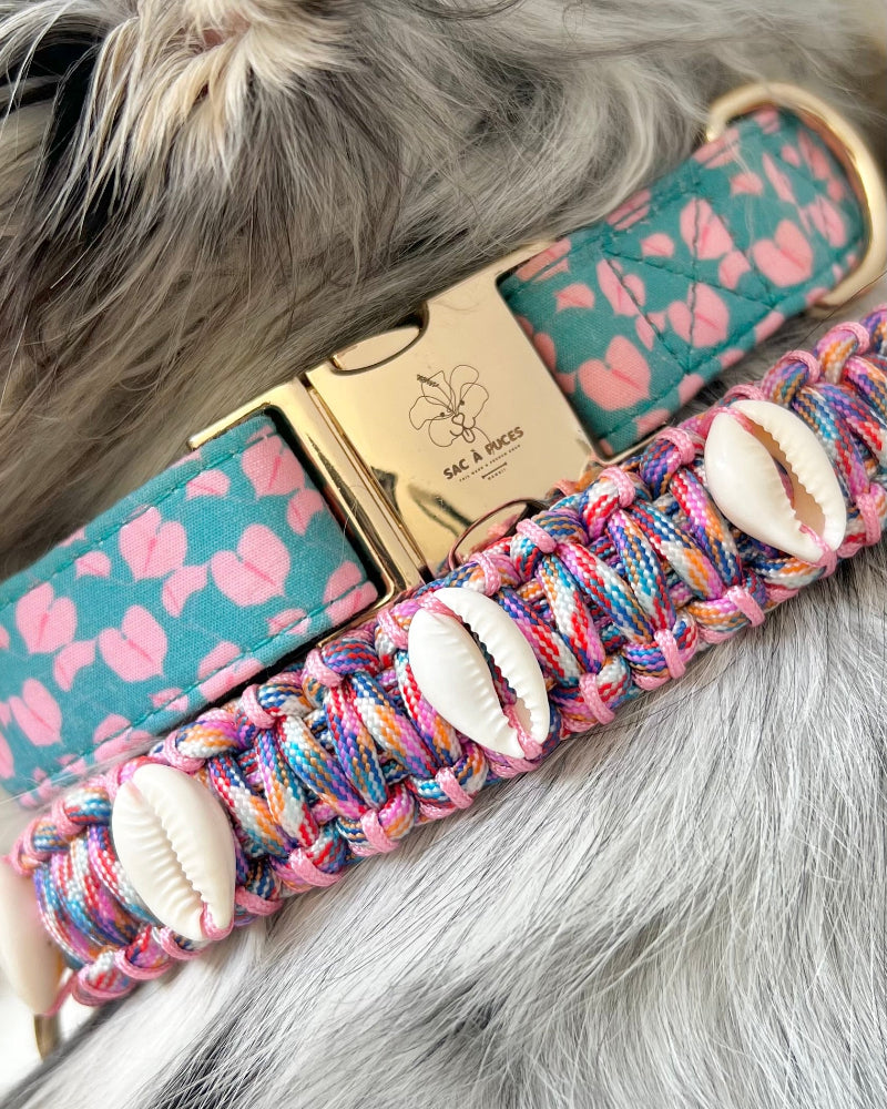 Hilo Anthurium Dog Collar in Otter Pop