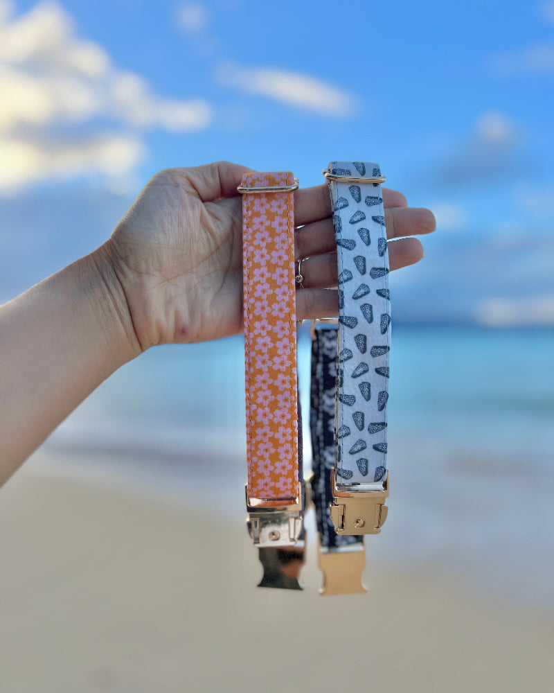 HAPA-hibiscus Collar in Hebrew Cone Shell