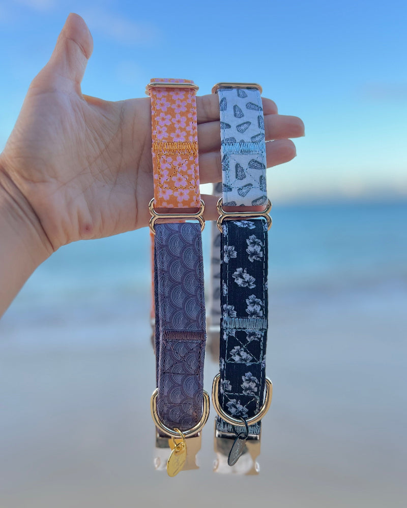 HAPA-hibiscus Collar in Hebrew Cone Shell