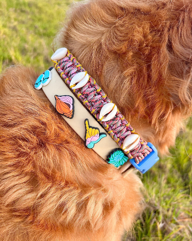 Honey Girl Jibbitz Dog Collar in Cream Puff