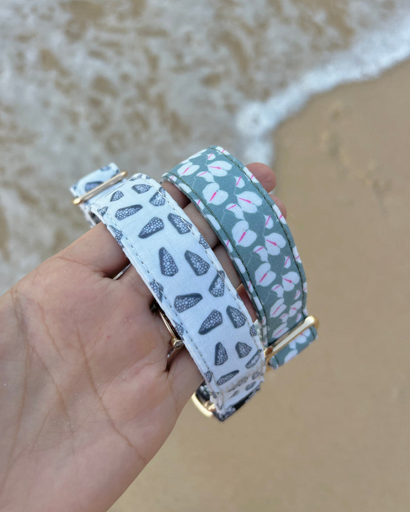 HAPA-hibiscus Collar in Hebrew Cone Shell