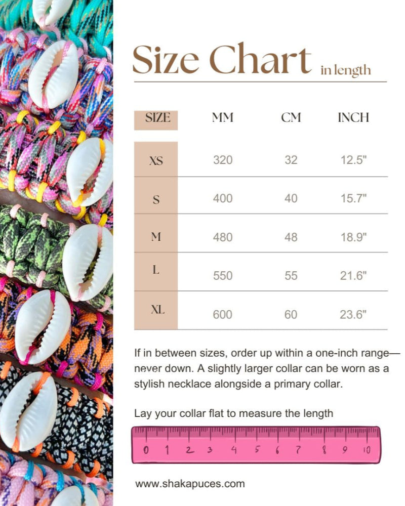 Coastal QT Dog Collar in Purple Cowrie Shell